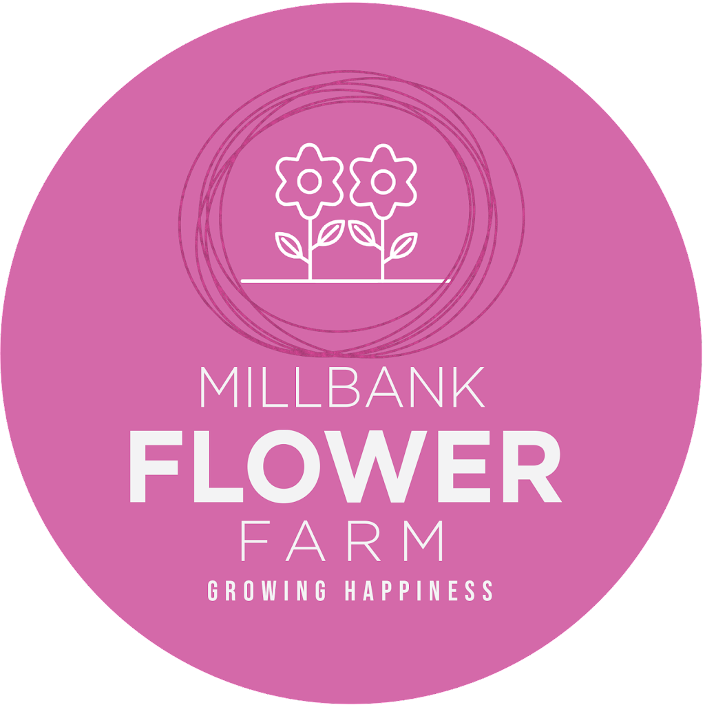 Millbank Flower Farm | 6971 Millbank Main St, Millbank, ON N0K 1L0, Canada | Phone: (519) 573-6992