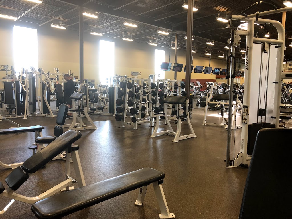 GoodLife Fitness Grimsby Industrial Drive | 9 Industrial Dr, Grimsby, ON L3M 5H8, Canada | Phone: (905) 309-5222