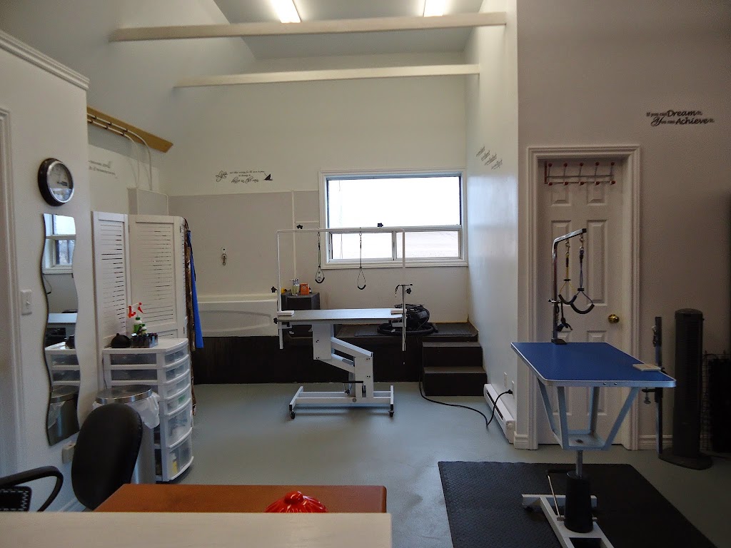 Good Dog | 7357 Dale Rd, Cobourg, ON K9A 4J7, Canada | Phone: (905) 373-8993