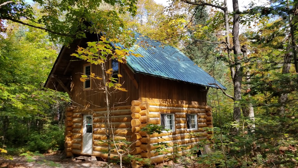Wolf Den Nature Retreat Hostel & Cabins | 4568 ON-60, Dwight, ON P0A 1H0, Canada | Phone: (705) 635-9336