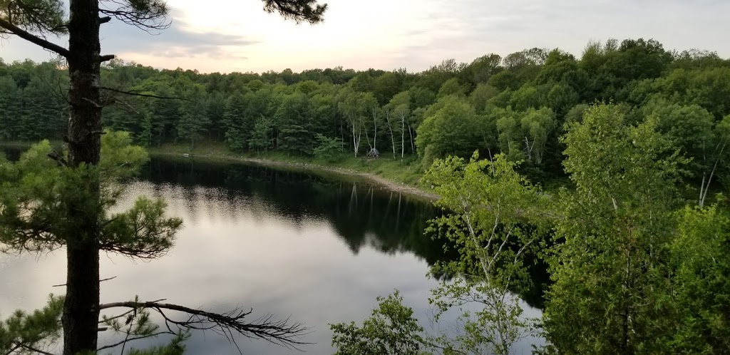 Frontenac Provincial Park | 6700 Salmon Lake Rd, Sydenham, ON K0H 2T0, Canada | Phone: (613) 376-3489