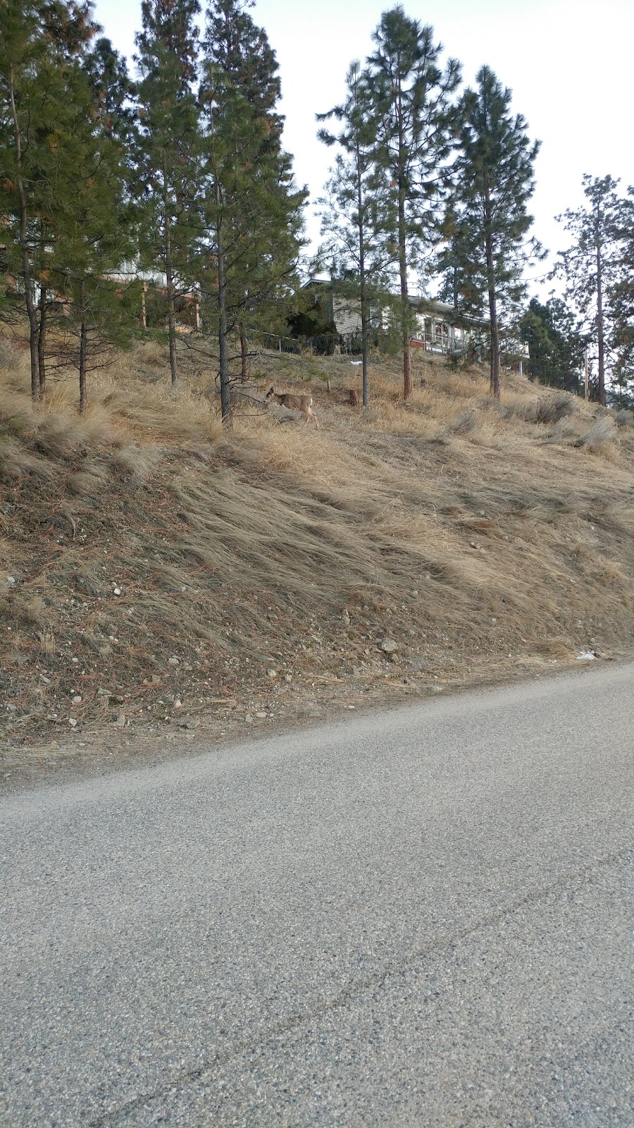 McKinley Landing Park | 2186 Bennett Rd, Kelowna, BC V1V 2C2, Canada