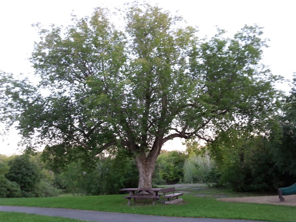 Quarry Park / Park De La Meulièe | 51 Davidson Crescent, Gloucester, ON K1J 6M3, Canada