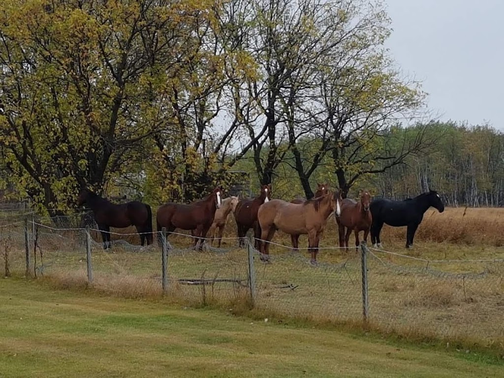 The Barefoot Ranch | 9108 E Rd 98N, Teulon, MB R0C 3B0, Canada | Phone: (204) 801-6833