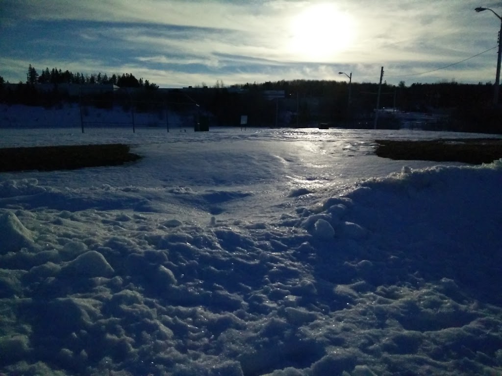 Lunenburg War Memorial Arena | 19 Green St, Lunenburg, NS B0J 2C0, Canada | Phone: (902) 634-8744