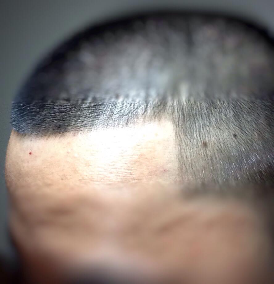 Four Seasons Hair Styling Unisex | 2463 Finch Ave W, North York, ON M9M 2G1, Canada | Phone: (416) 741-0577