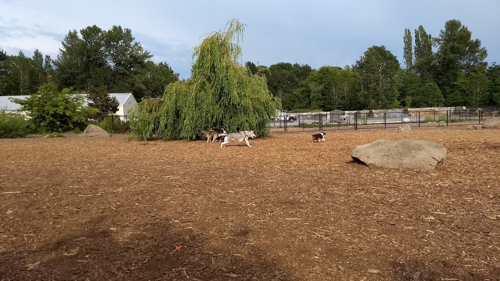 Squalicum Dog Park | 1001 Squalicum Way, Bellingham, WA 98225, USA