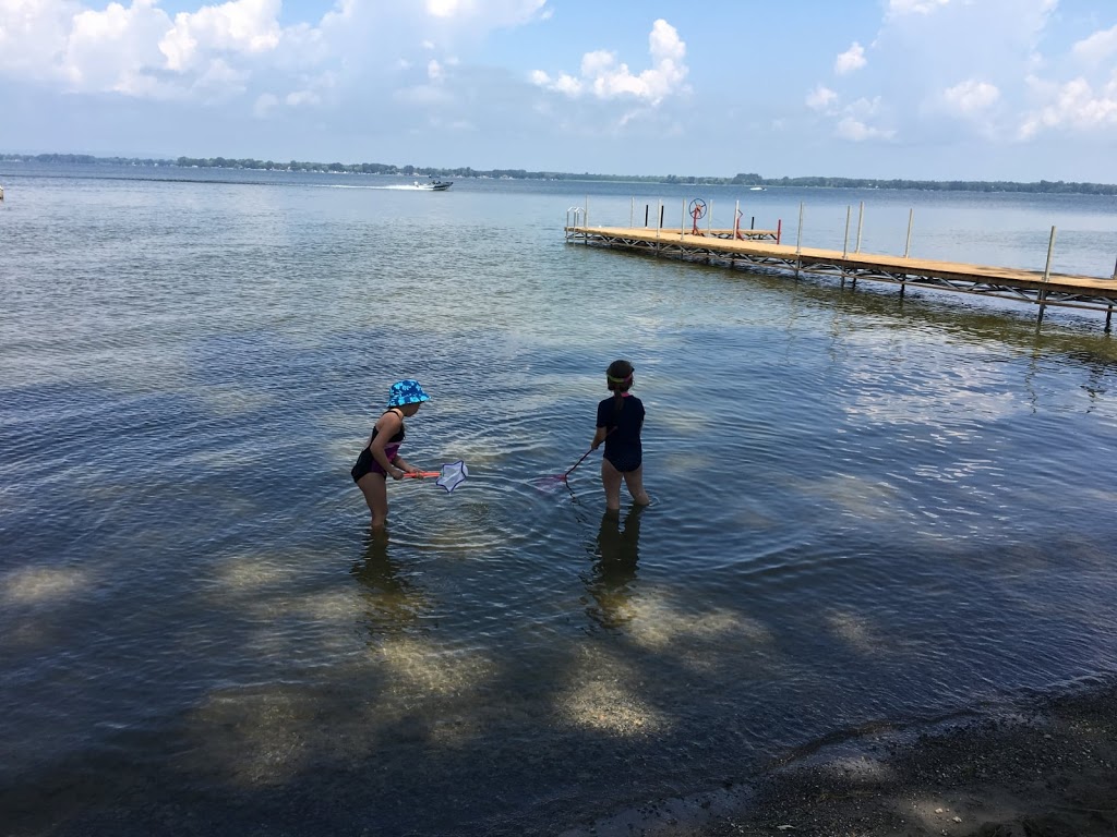 Willow Cove Park | 568 Prince Edward County Rd 39, Consecon, ON K0K 1T0, Canada | Phone: (613) 392-0008