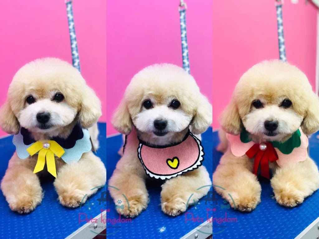 Petz Kingdom | 3555 Hawkestone Rd unit d, Mississauga, ON L5C 2V1, Canada | Phone: (416) 830-0192