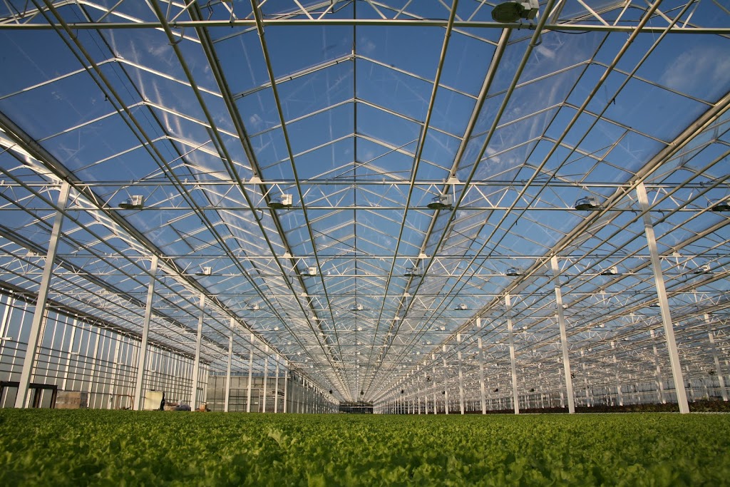 Havecon Horticultural Projects NA | 360 York Rd unit 3, Niagara-on-the-Lake, ON L0S 1J0, Canada | Phone: (905) 641-0603