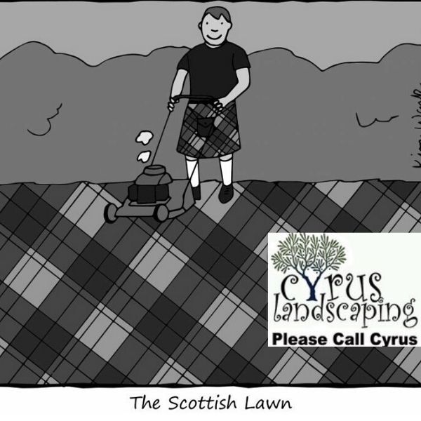 Cyrus Landscaping | 1428 Russet Rd NE, Calgary, AB T2E 5L6, Canada | Phone: (403) 200-4548