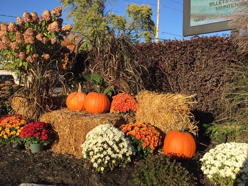 Conception Jardins | 83 Rang St Charles, Saint-Thomas, QC J0K 3L0, Canada | Phone: (450) 365-0664