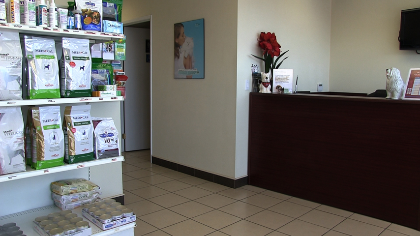 Avro Pet Hospital | 9699 Jane St #31, Maple, ON L6A 0A4, Canada | Phone: (905) 553-3505