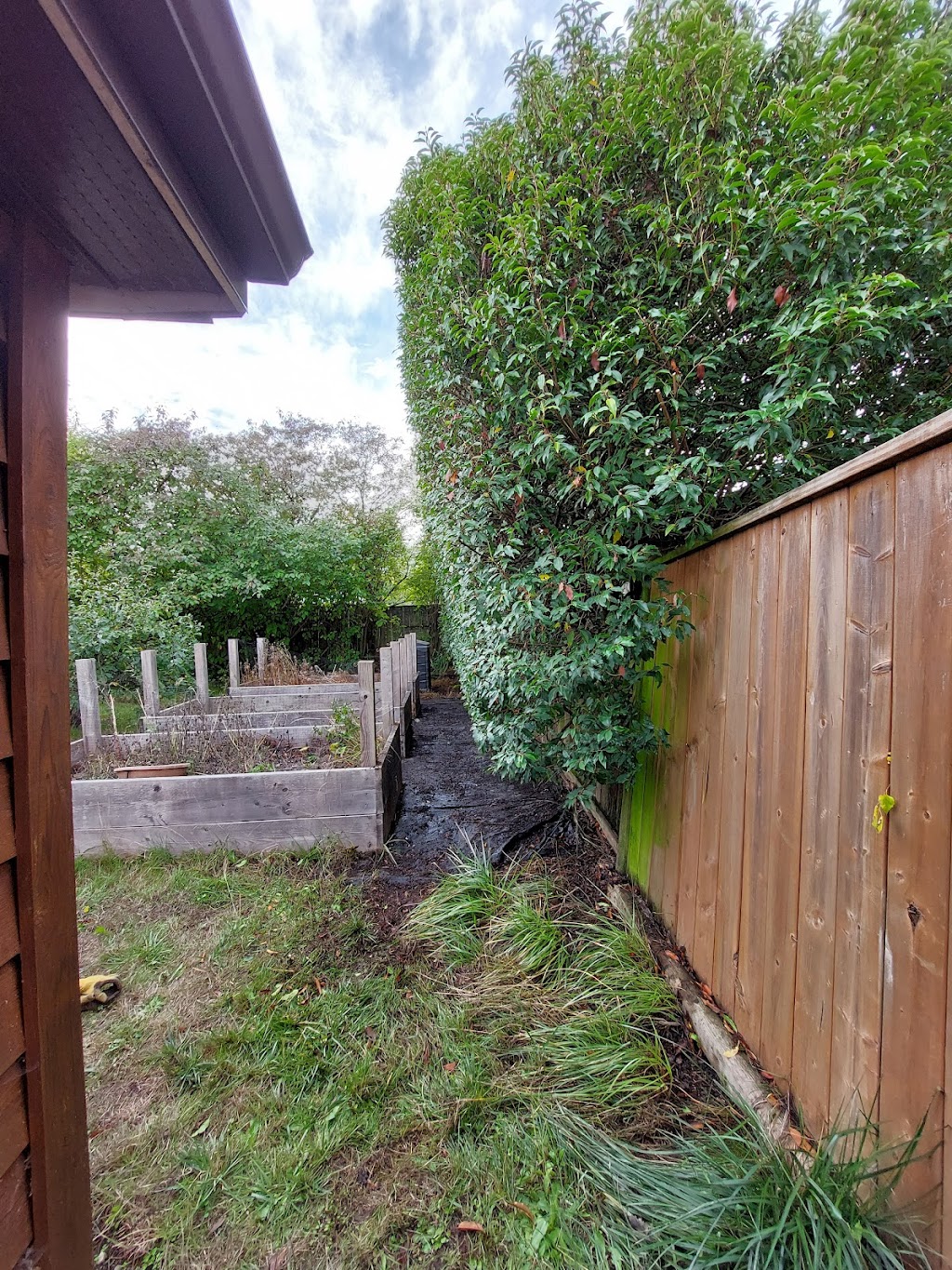 Raven Lawn and Garden | 939 Reeve Pl, Victoria, BC V9A 4R5, Canada | Phone: (250) 857-8206