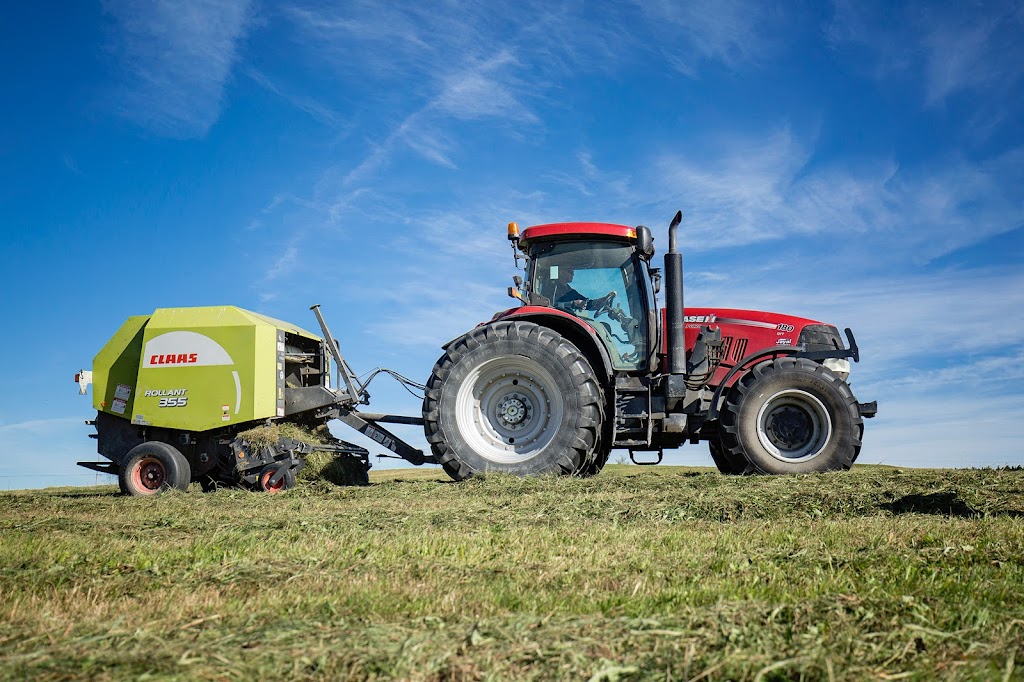 Ferme Courlin Inc. | 36 Rang Petit-Shenley, Saint-Éphrem-de-Beauce, QC G0M 1R0, Canada | Phone: (418) 484-2041