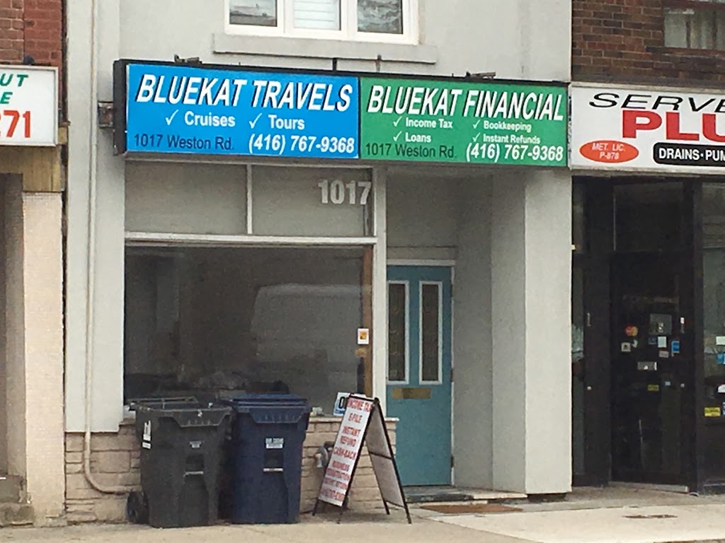 Bluekat Financial Services | 1017 Weston Rd, York, ON M6N 3R9, Canada | Phone: (416) 767-9368