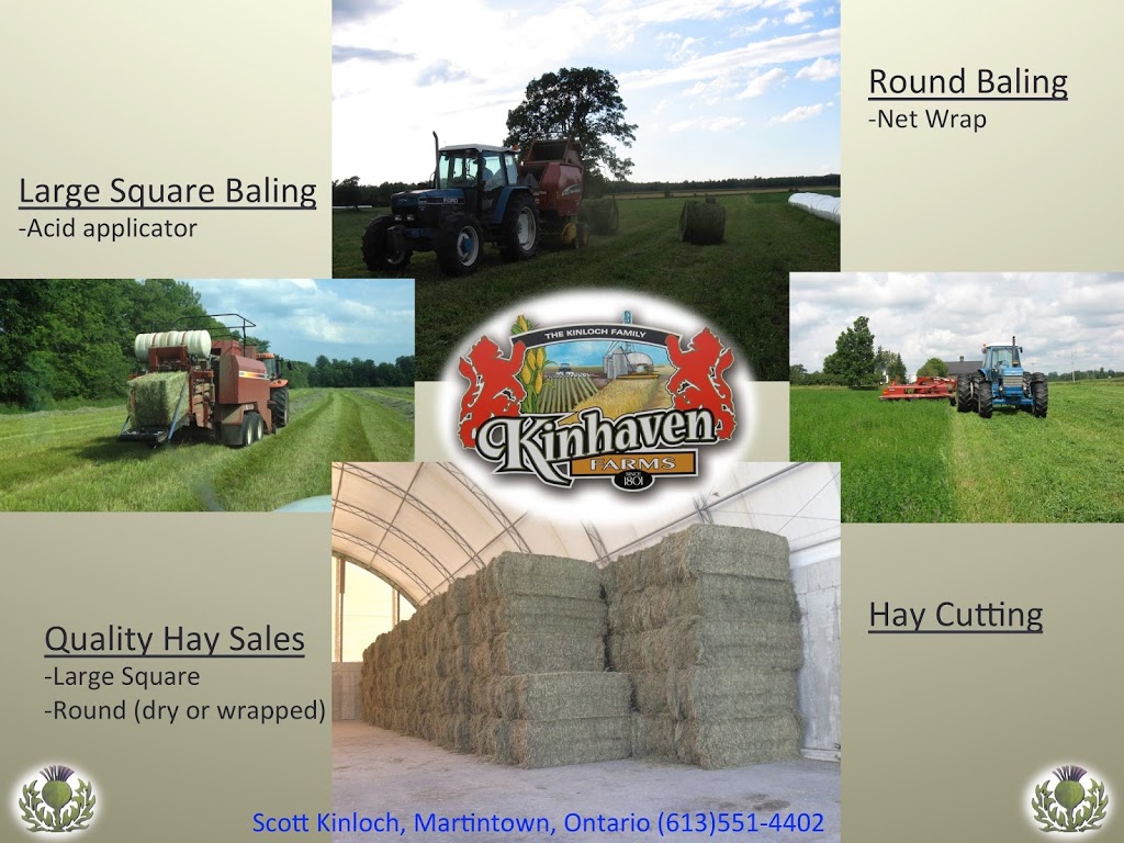 Barriston Law | 151 Ferris Ln #202, Barrie, ON L4M 6C1, Canada | Phone: (705) 792-9200
