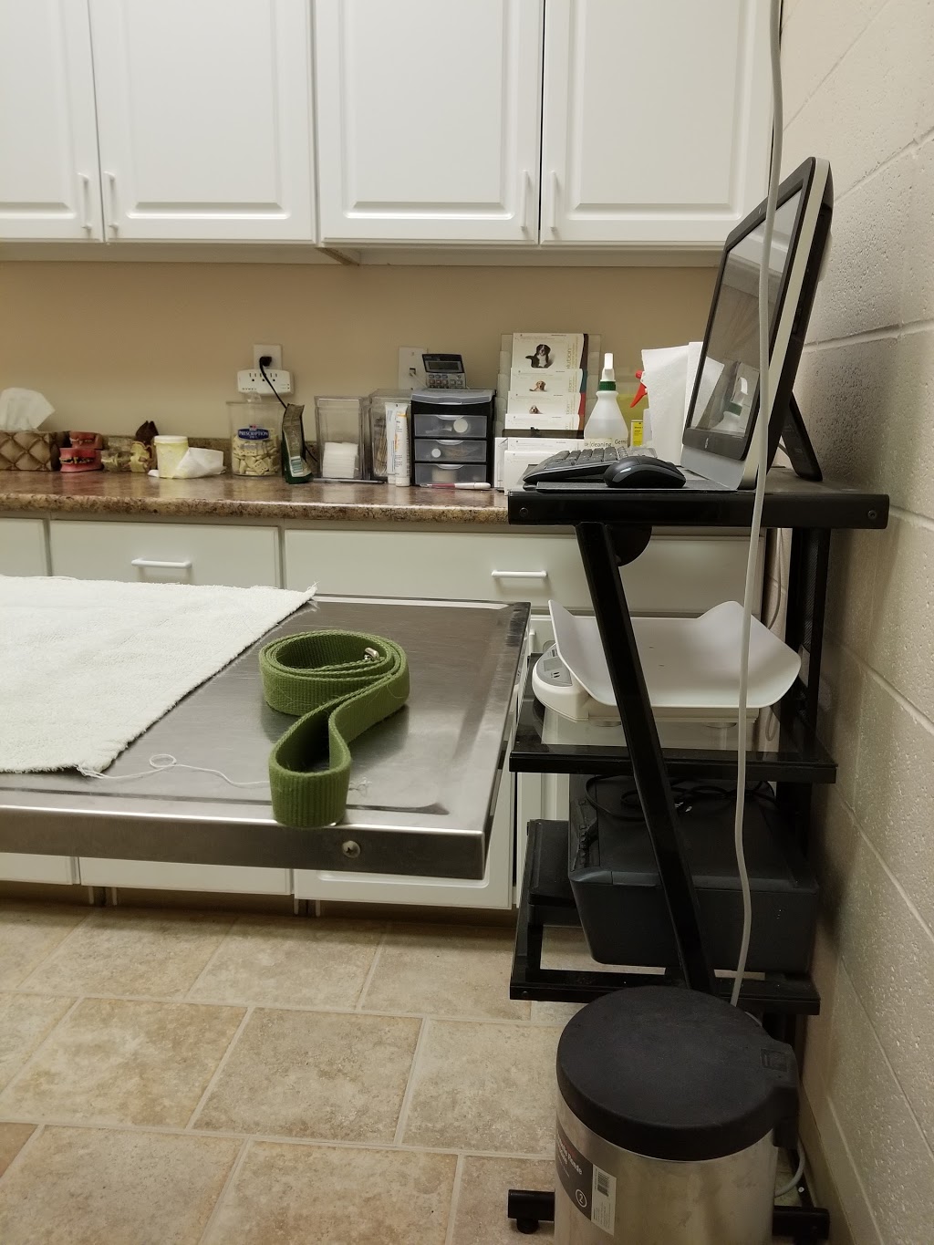 Gibbons Veterinary Clinic | 4704 50 Ave, Gibbons, AB T0A 1N0, Canada | Phone: (780) 578-6474