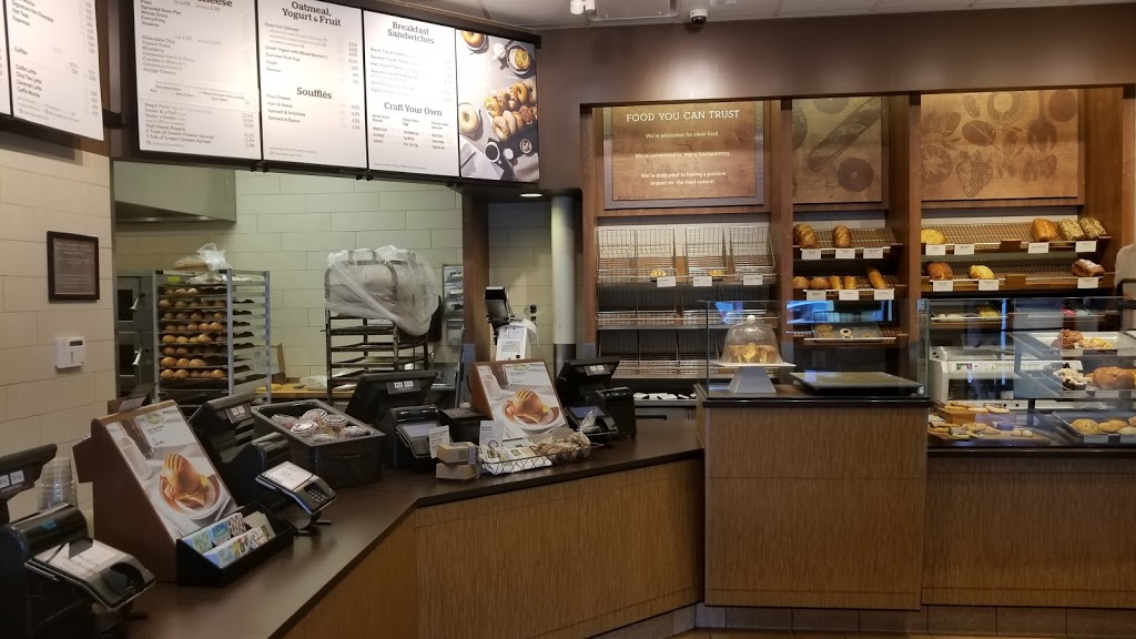 Panera Bread | 765 Elmwood Ave, Buffalo, NY 14222, USA | Phone: (716) 882-2671
