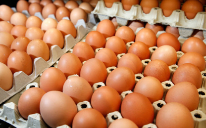 Sunnyside Farm | 625 Townline Rd, Whitby, ON L0B 1A0, Canada | Phone: (905) 655-4240