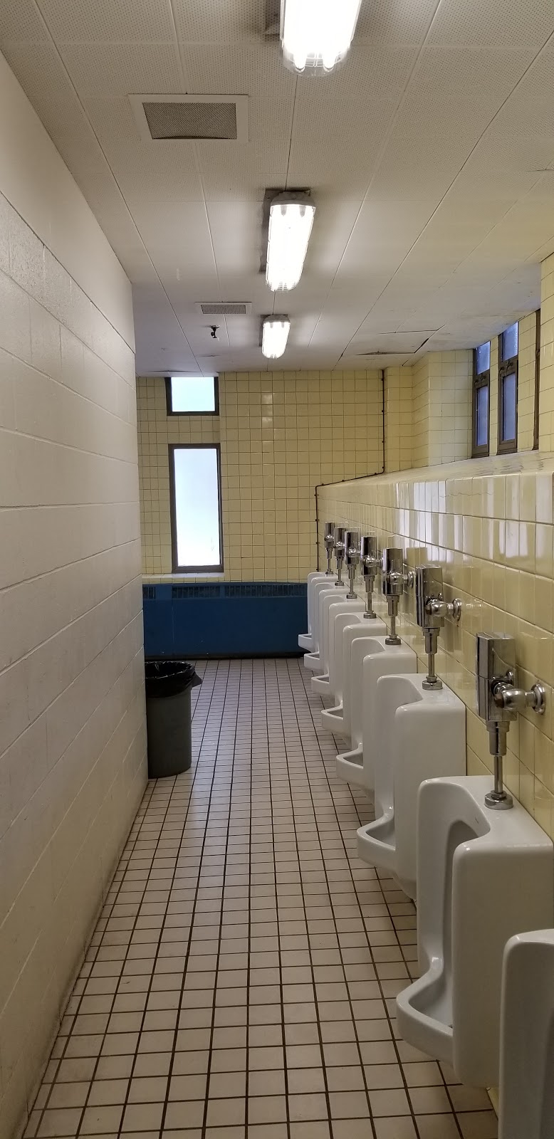 Nesbitt Elementary School | 6108 8e Avenue, Montréal, QC H1Y 2M2, Canada | Phone: (514) 721-2850