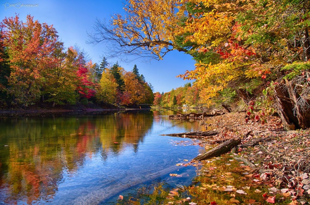 Tourisme Jacques-Cartier | 60 Rue St Patrick, Shannon, QC G3S 1P8, Canada | Phone: (418) 844-2358