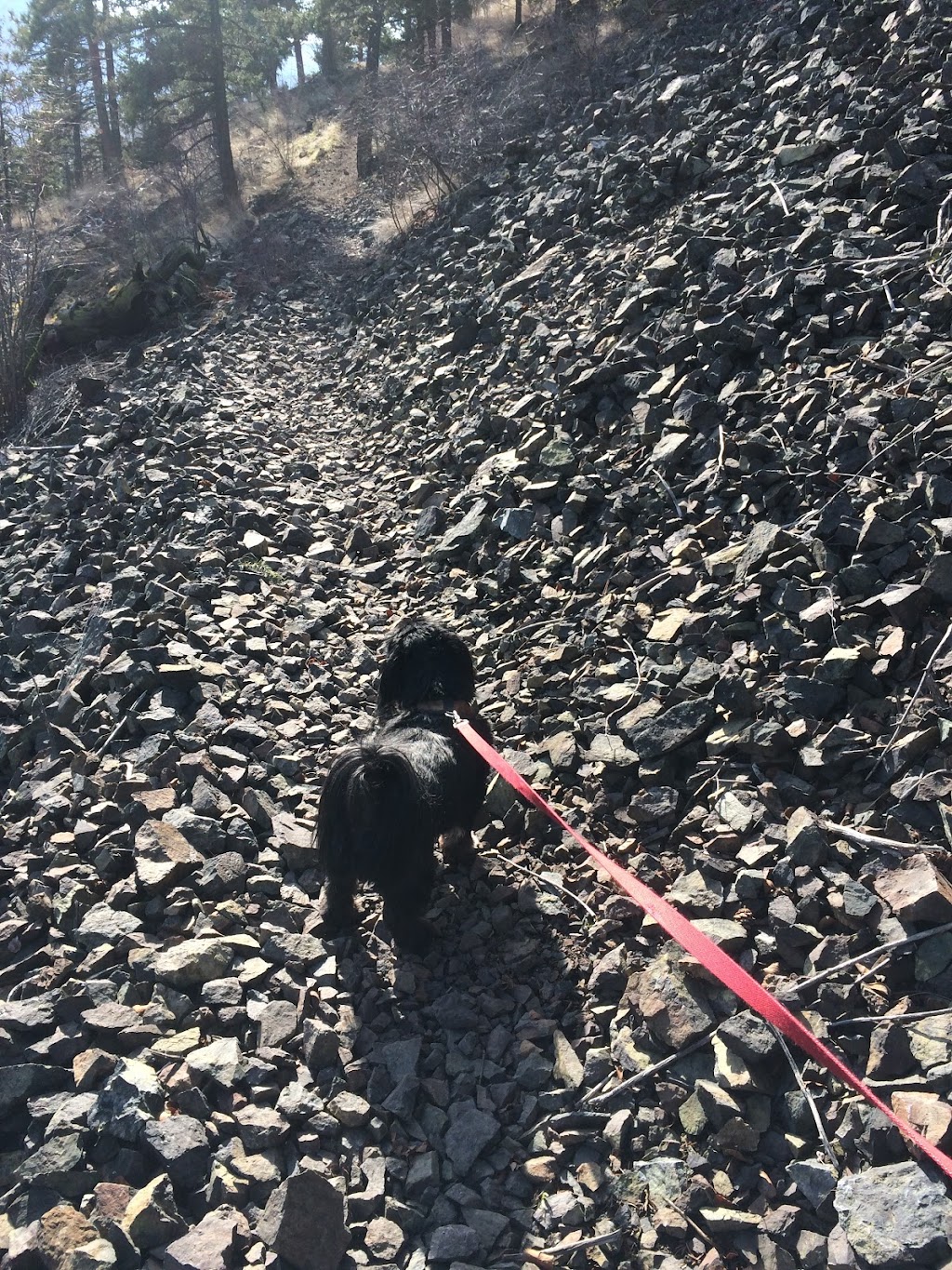 Tom Lacey Trail | Merritt, BC V1K 1J5, Canada | Phone: (250) 280-6590