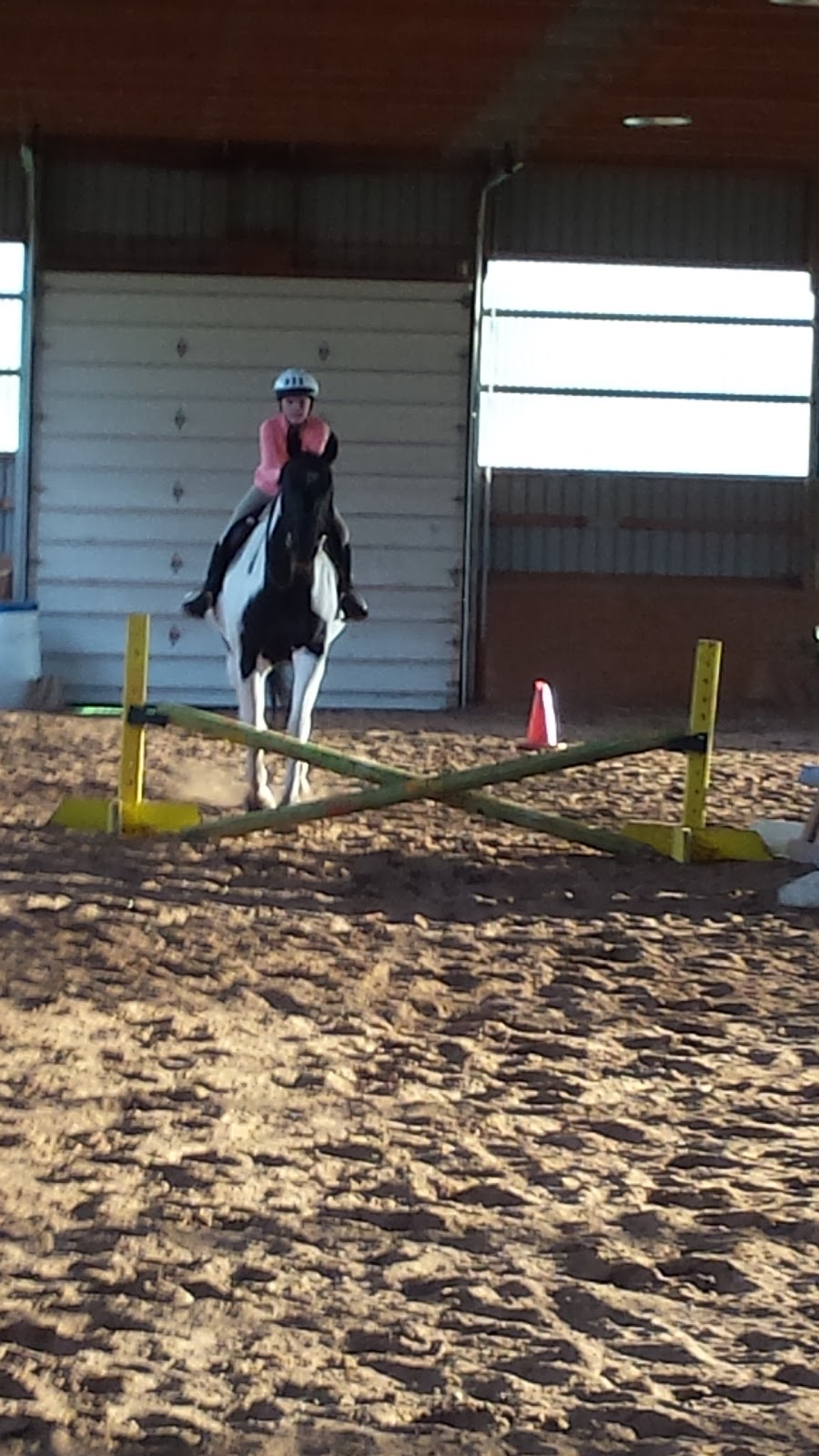 Northfield Farm | 8368 ON-7, Rockwood, ON N0B 2K0, Canada | Phone: (519) 856-1434