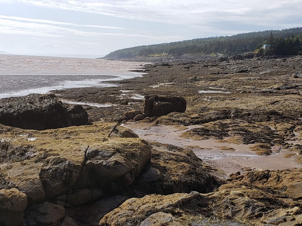 Moon Tide Farm | 1233 Cape Split Rd, Canning, NS B0P 1H0, Canada | Phone: (902) 582-1667