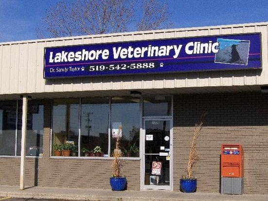 Lakeshore Veterinary Clinic | veterinary care | 1206 Lakeshore Rd, Sarnia, ON N7S 2L2, Canada | 5195425888 OR +1 519-542-5888