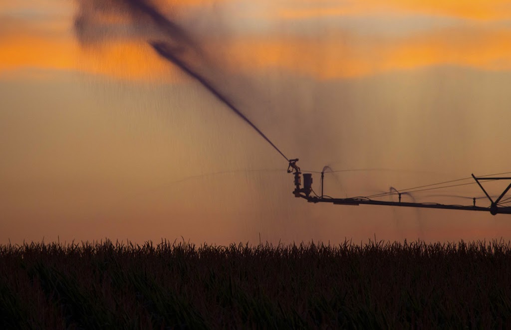 Vanden Bussche Irrigation | 2515 Pine Grove Rd, Delhi, ON N4B 2X1, Canada | Phone: (519) 582-2380