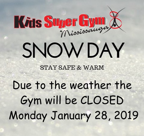 Kids SuperGym | 3620a Laird Rd #9, Mississauga, ON L5L 6A8, Canada | Phone: (905) 607-5437