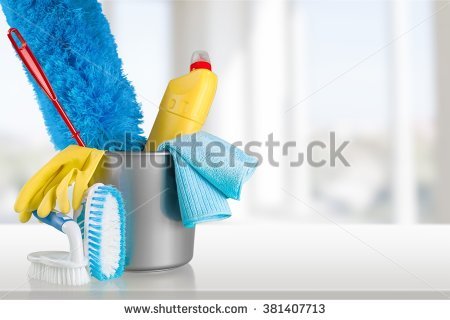 Urban Maids | 14083 110 Ave, Surrey, BC V3R 1Z3, Canada | Phone: (604) 634-6243