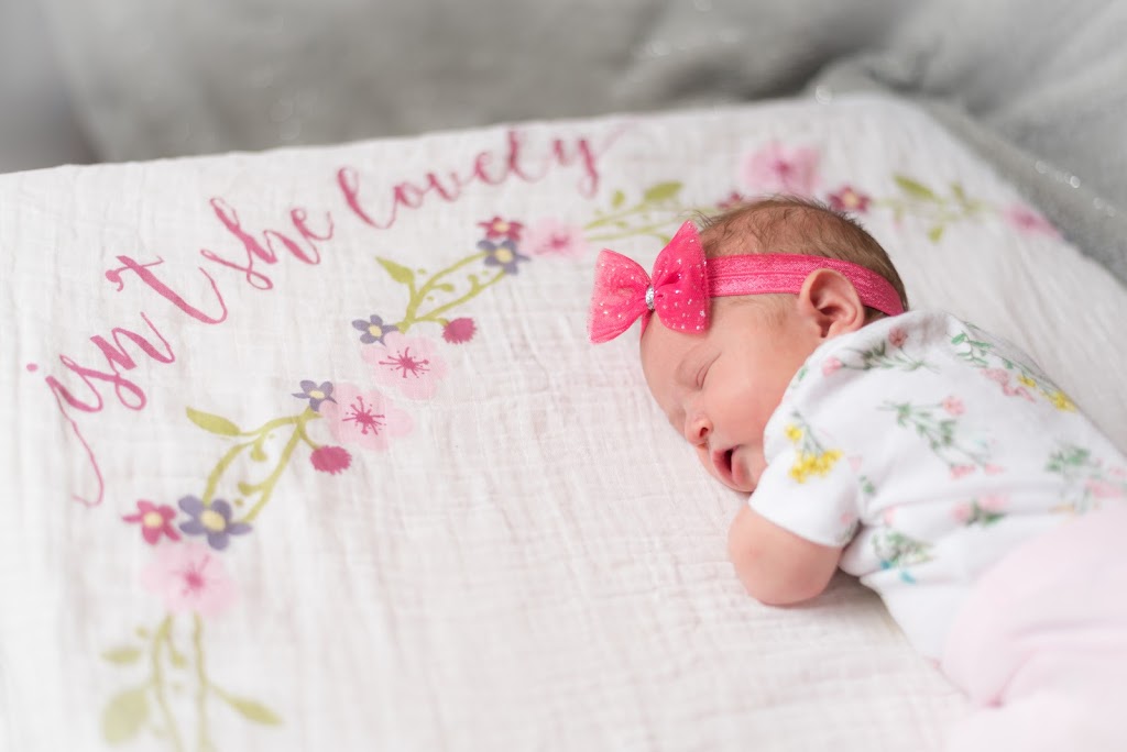 Shawn Davidson Photography | 73 Chaswood Dr, Dartmouth, NS B2V 2M1, Canada | Phone: (902) 441-3900