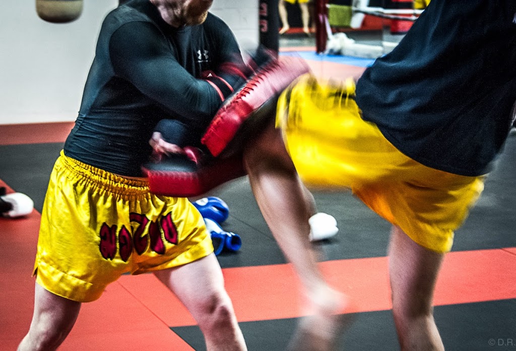 Elite Training Centre martial arts and fitness | 1557 Sedlescomb Dr, Mississauga, ON L4X 1M4, Canada | Phone: (416) 910-6175