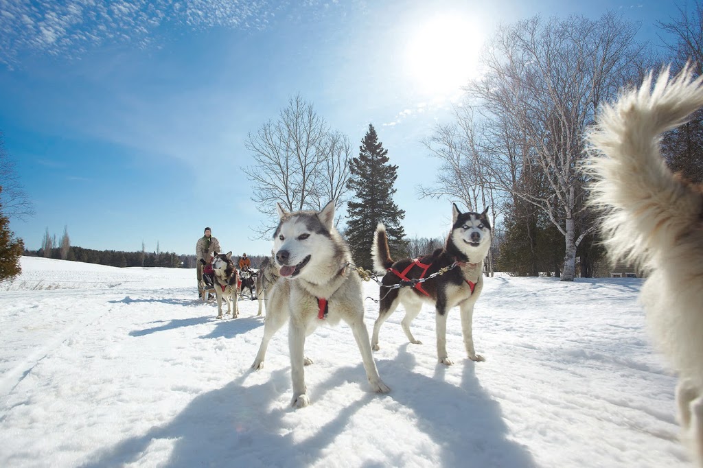 David Ranch Resort Inc. | 2858 Kawartha Lakes County Rd 45, Norland, ON K0M 2L0, Canada | Phone: (705) 454-1000