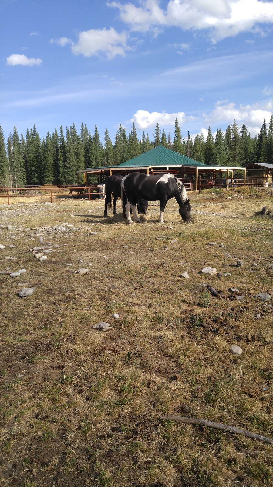 The Lodge at Panther River | Panther Road, Sundre, AB T0M 1X0, Canada | Phone: (844) 563-4377