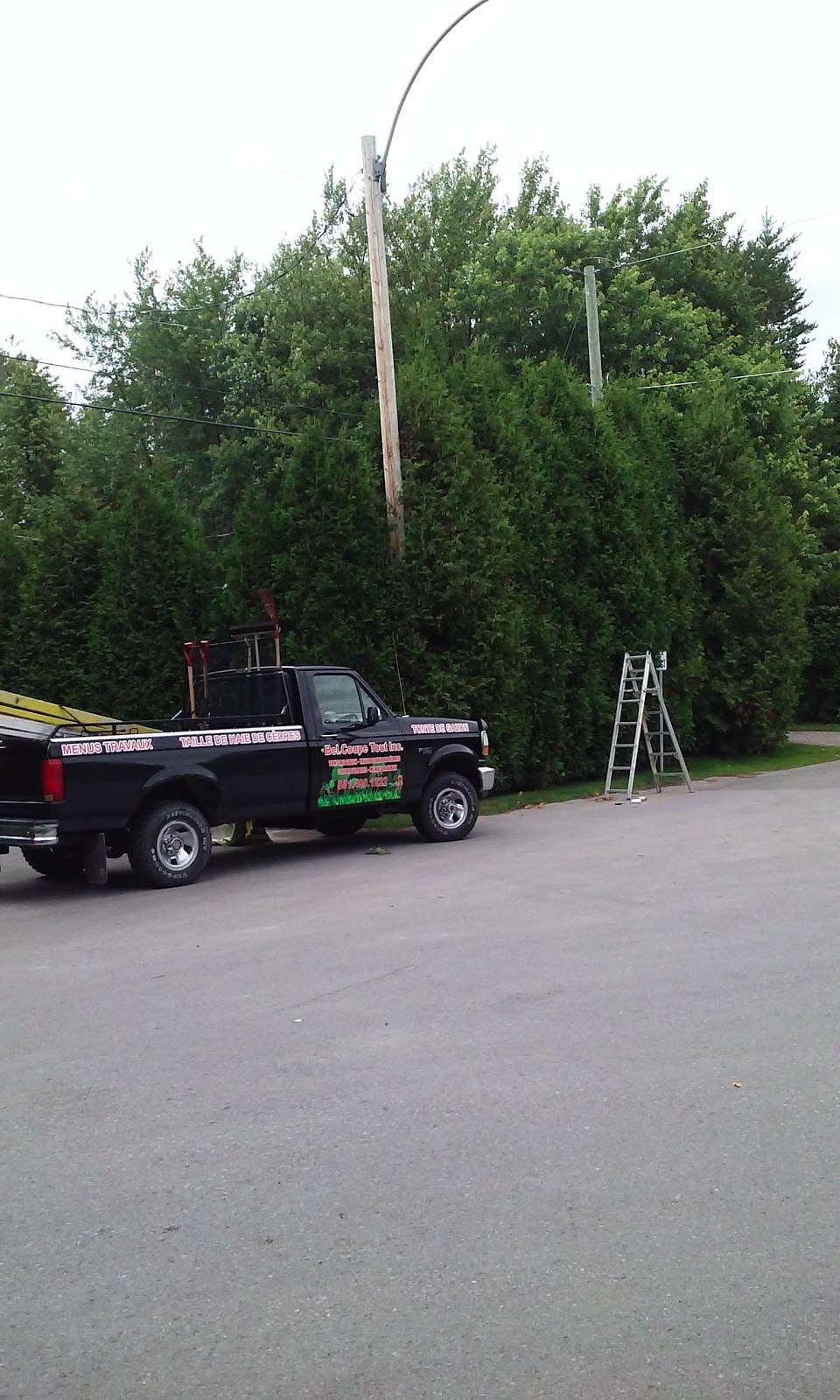 Bel.Coupe Tout inc. | 11 Rue Valin, Saint-Fulgence, QC G0V 1S0, Canada | Phone: (581) 490-1222