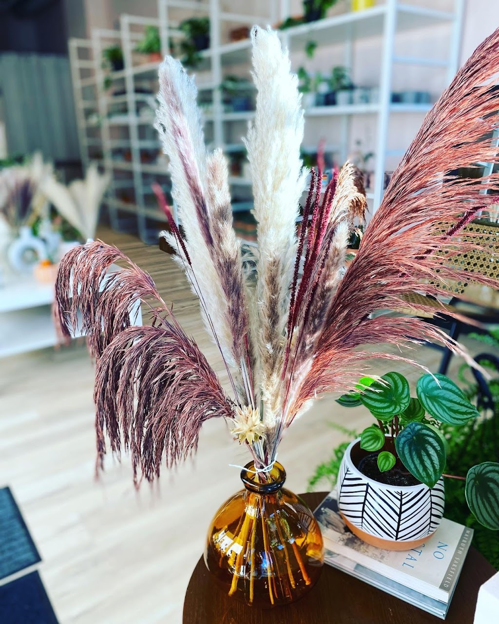 Arterior - Home Decor, Plants, Gifts | 128 Burnhamthorpe Rd E, Oakville, ON L6H 7C8, Canada | Phone: (905) 216-2804