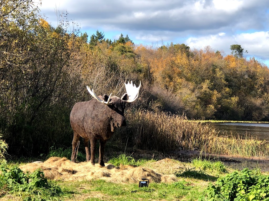Galey Farms | 4150 Blenkinsop Rd, Victoria, BC V8X 2C4, Canada | Phone: (250) 477-5713