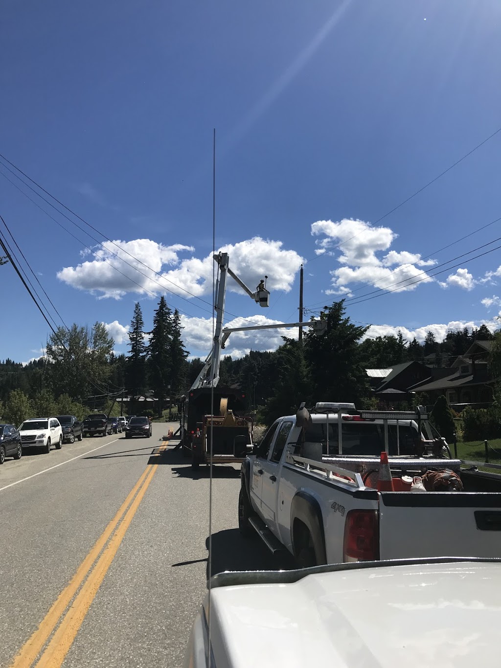 Tree Werx | 1517 Vella Rd, Tappen, BC V0E 2X2, Canada | Phone: (250) 517-7273