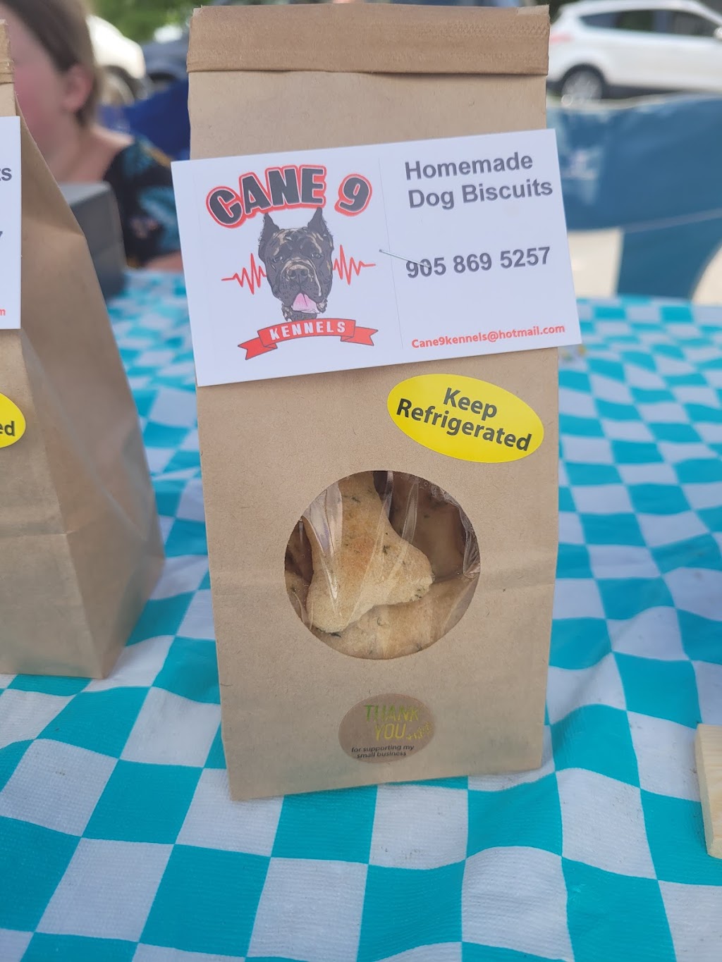 Cane9kennels | Rainham Rd, Haldimand, ON N0A 1P0, Canada | Phone: (905) 869-5257
