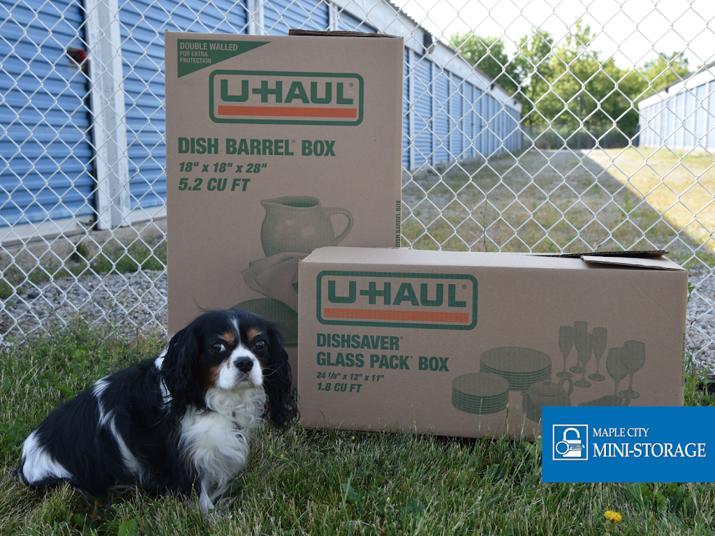U-Haul Neighborhood Dealer | 7690 Queens Line, Chatham, ON N7M 1T5, Canada | Phone: (519) 354-2088