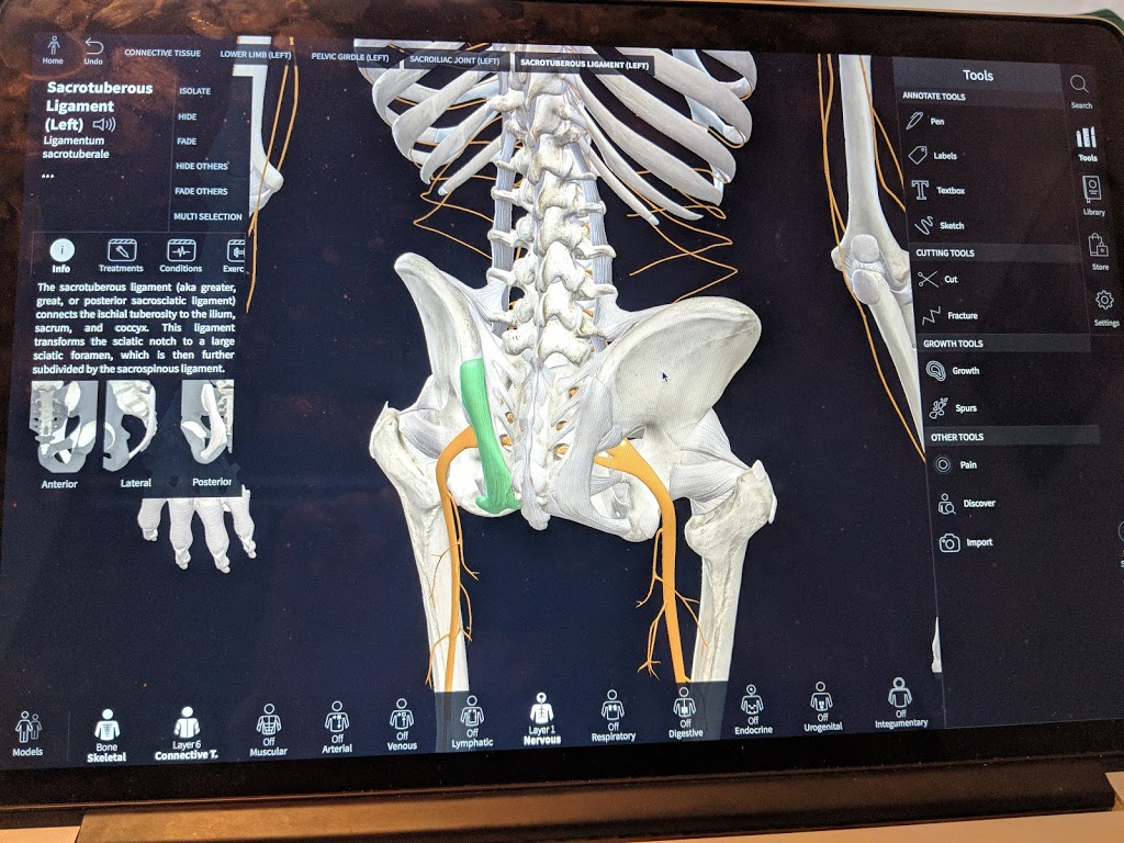 Back in Action Physical Therapy | 1405 Fraser St ste F101, Bellingham, WA 98229, USA | Phone: (360) 524-9388