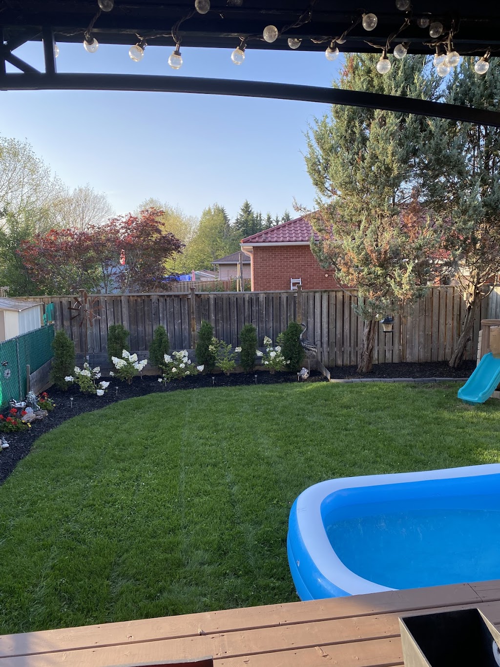 Weed Man Lawn Care | 364 St Vincent St, Barrie, ON L4M 4A5, Canada | Phone: (705) 428-9333