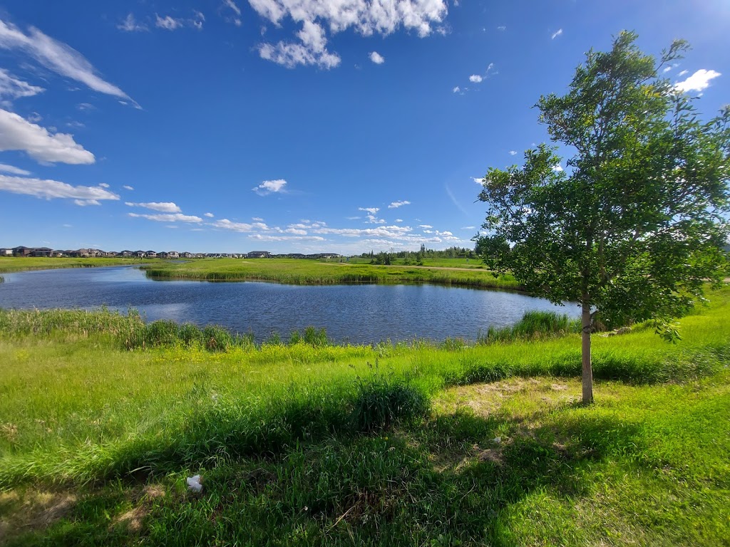 Hyde Park Dog Park | Boychuck Drive, Saskatoon, SK S7V 0A7, Canada | Phone: (306) 975-3340