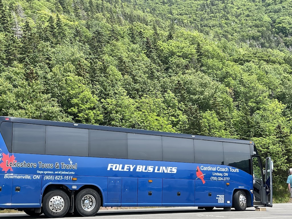 Lakeshore Tours & Travel | 17 King St E, Bowmanville, ON L1C 1N2, Canada | Phone: (905) 623-1511