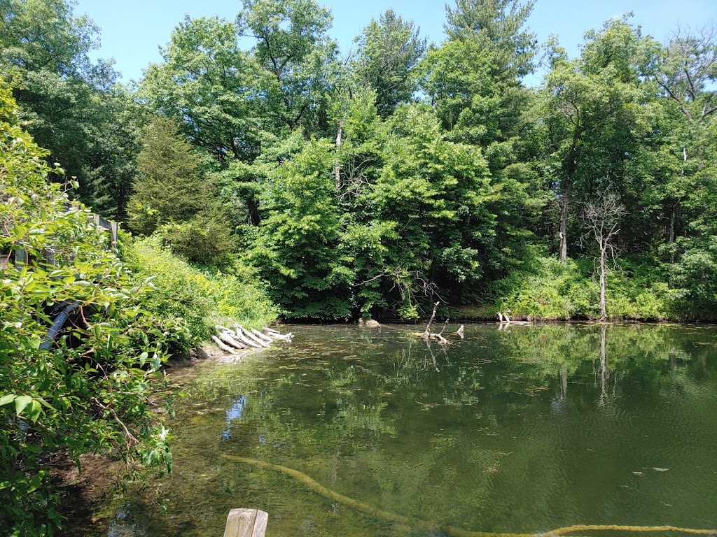 Pinery Provincial Park | 9526 Lakeshore Rd, Grand Bend, ON N0M 1T0, Canada | Phone: (519) 243-2220