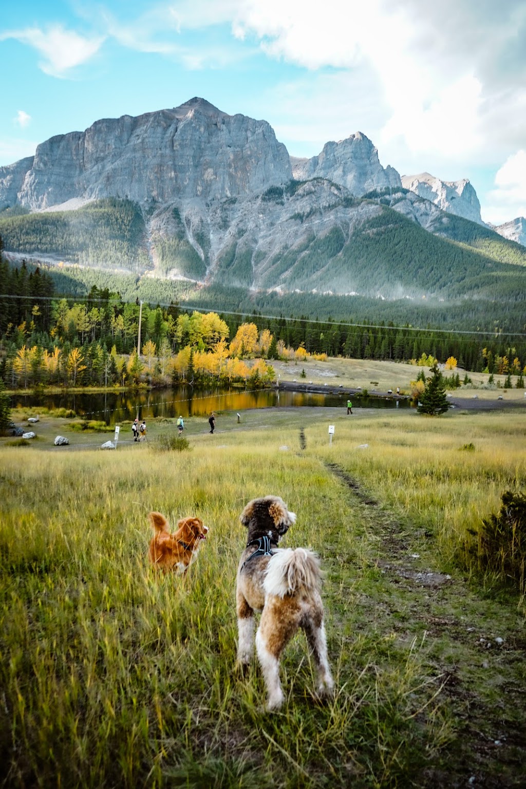 Quarry Lake Park | Spray Lakes Rd, Canmore, AB T1W 3C2, Canada | Phone: (403) 678-1500