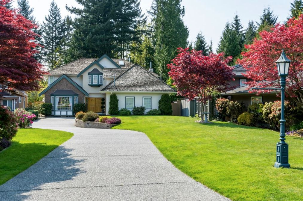 Liz Whittingham, Real Estate Agent | 20842 Lougheed Hwy, Maple Ridge, BC V2X 2R3, Canada | Phone: (604) 220-3931
